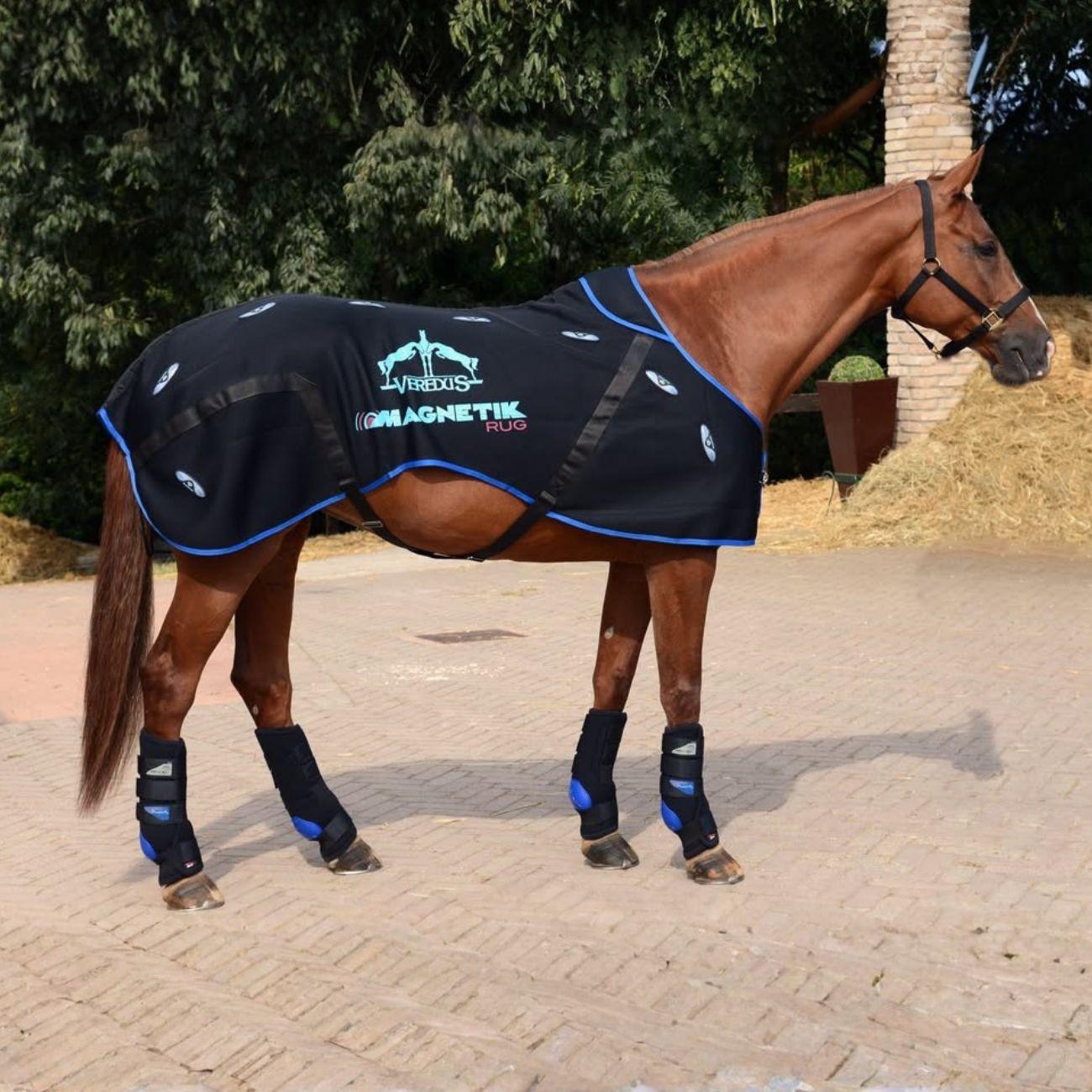 Magnetik Rug Veredus MR BLACK VEREDUS 