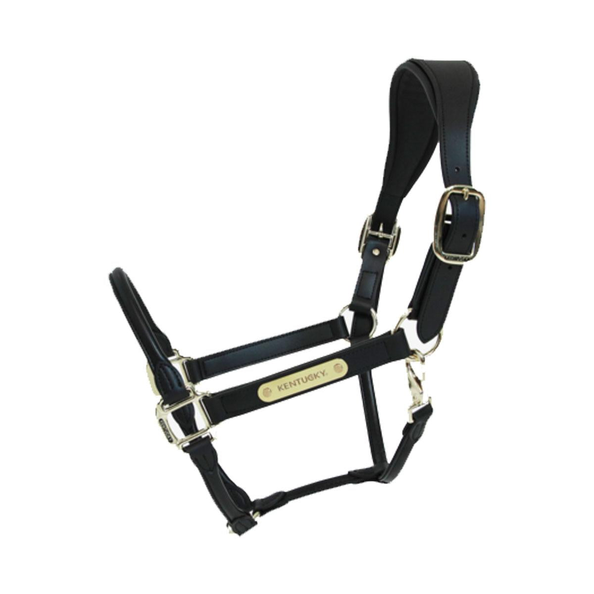 CAPEZZA IN CUOIO KENTUCKY 42513 01BLACK KENTUCKY