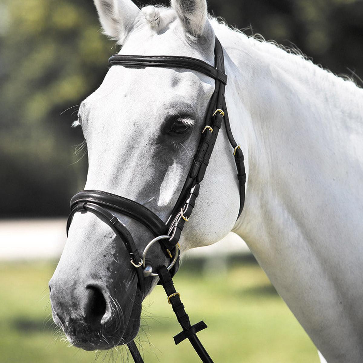 Testiera In Cuoio Tattini Nero 09TA1426699 NERO TATTINI 