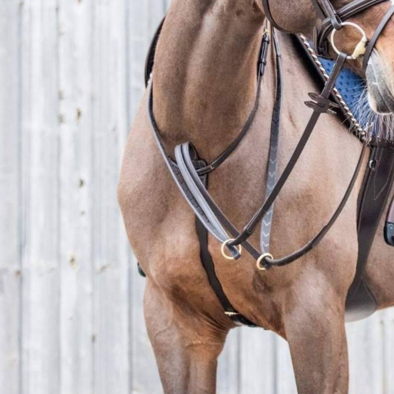  HR10650 BROWN HORSENA 