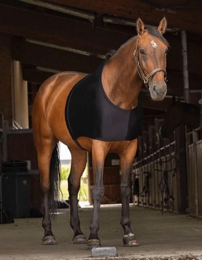 COPRICOLLO PER CAVALLO IN LYCRA 09EK-400400 NERO EQUITHEME