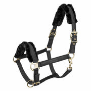 Waldhausen HALTER EXCLUSIVE WALDHAUSEN Nightblack/black CAPEZZINI E CAPEZZE 50517 01NIGHTBLACK/BLACK WALDHAUSEN 