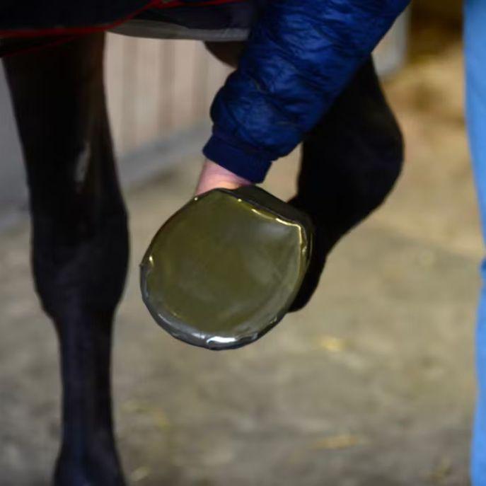 Rivestimento In Gel Sole Tape Kentucky 44542 GEL KENTUCKY 