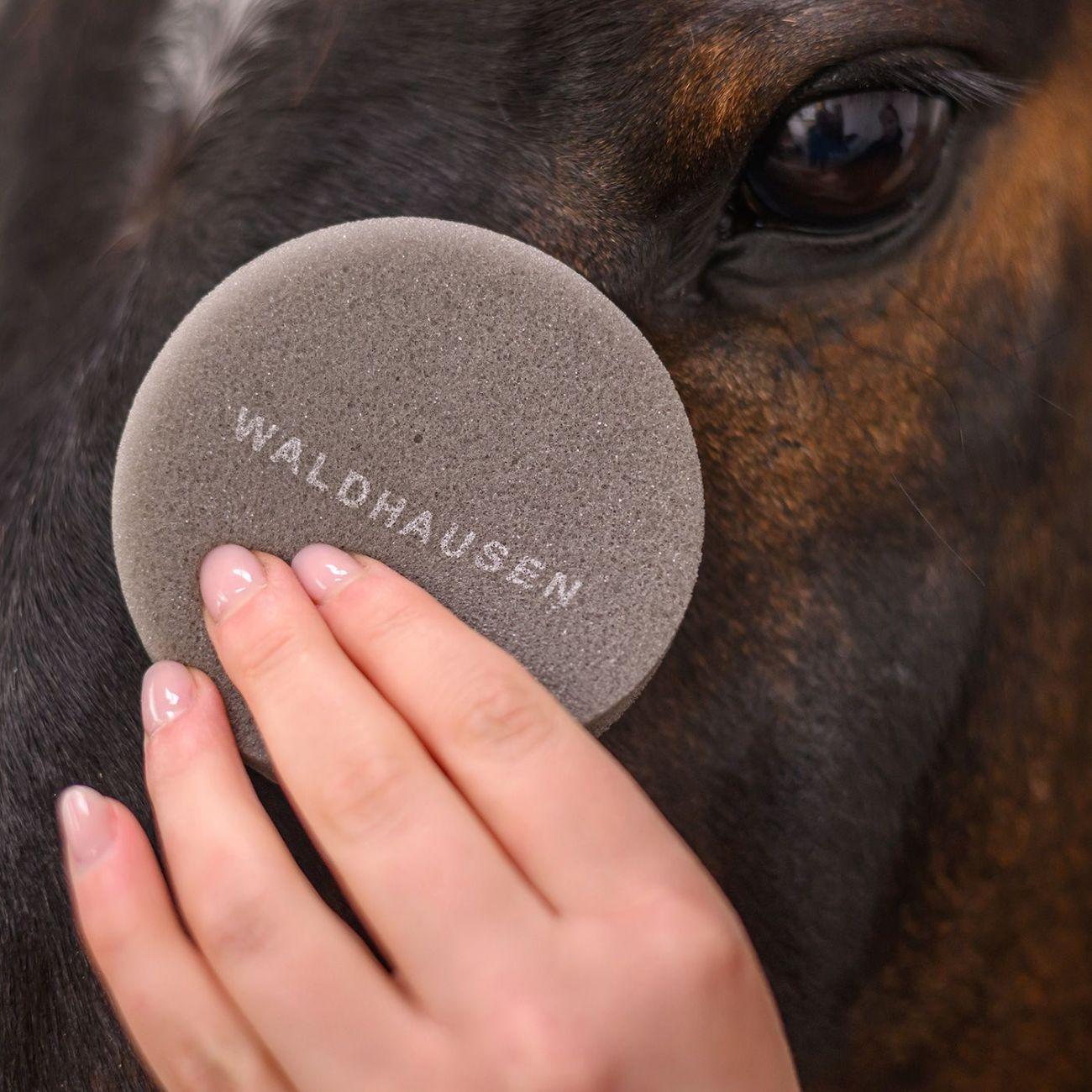 Spugna Rotonda Waldhausen 3752100 NEUTRO WALDHAUSEN 