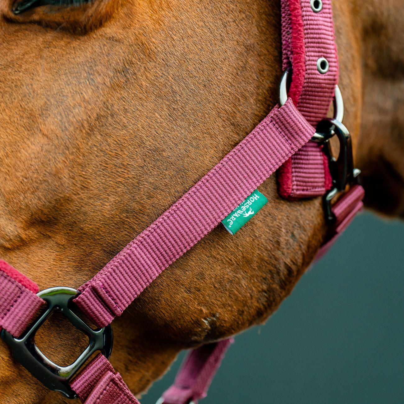 Set Capezza E Lunghina Amigo Horseware Bordeaux DHRX01 RRR0MULBERRY HORSEWARE 