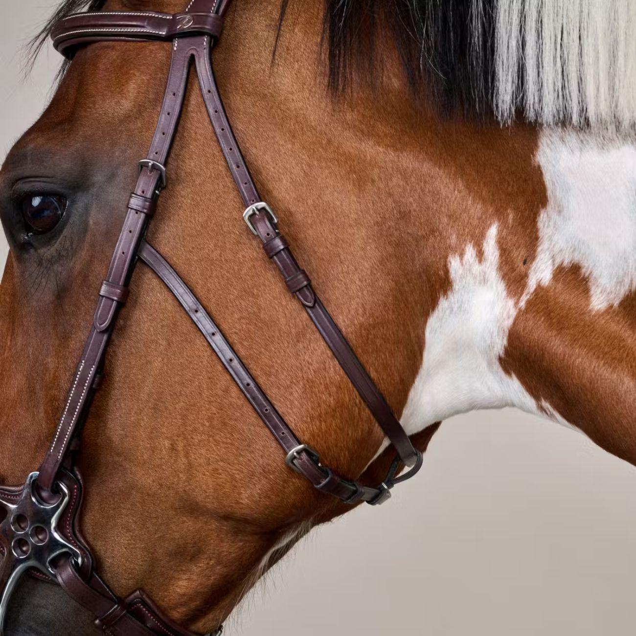 Briglia Per Hackamore Us  Collection Dy'on USFADX BROWN DY'ON 