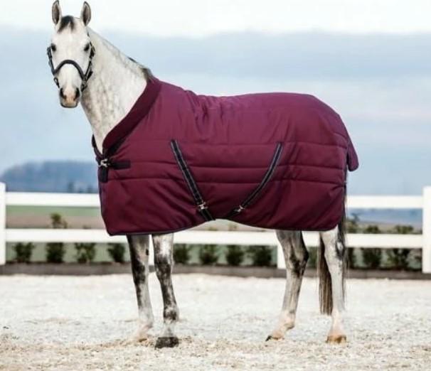 31HO-ABAE42 BURGUNDY TEAL NAVY HORSEWARE