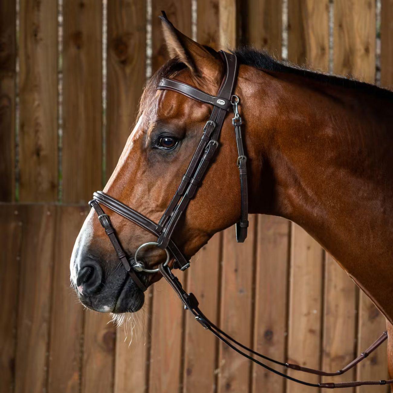 DY'ON FLASH NOSEBAND BRIDLE D COLLECTION Marrone BRIGLIE WOJBHA BROWN DY'ON 