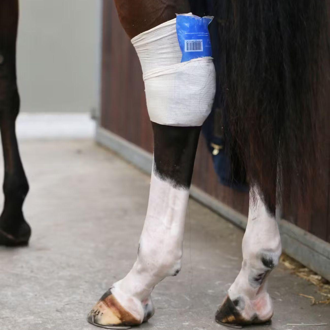 Fascia Elastica Tendon Grip Sock Kentucky Beige 42101 02BEIGE KENTUCKY 