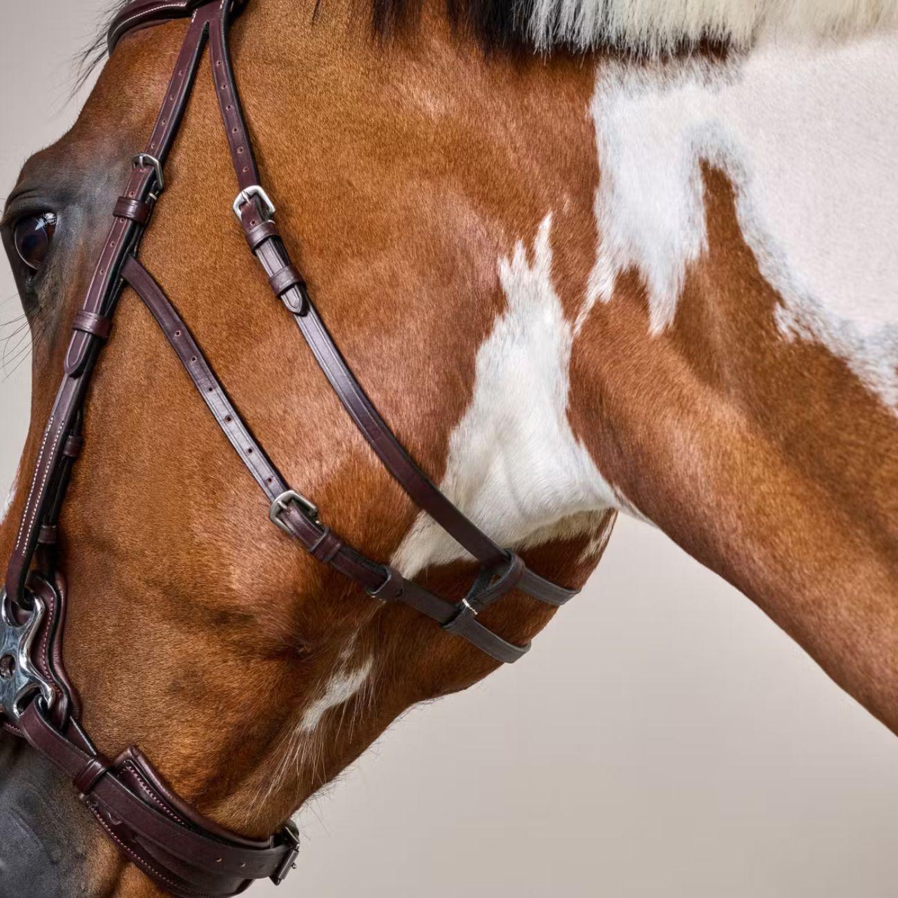 Briglia Per Hackamore Us  Collection Dy'on USFADX BROWN DY'ON 