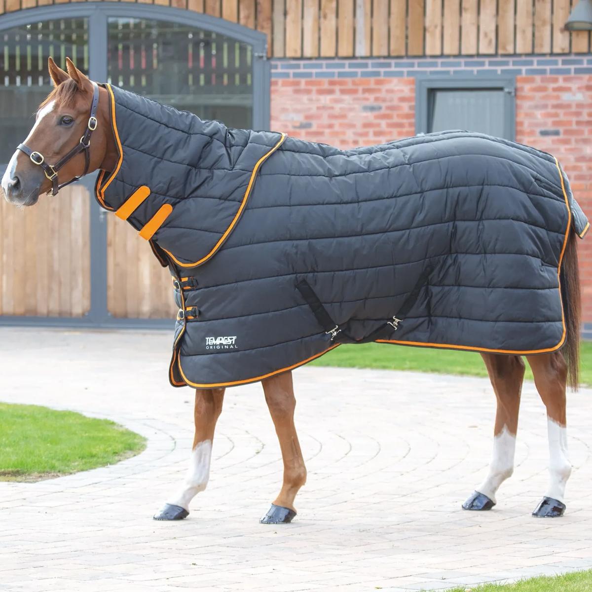 COPERTA DA BOX CON COLLO 300 GR 32SH-9363 BLACK SHIRES EQUESTRIAN