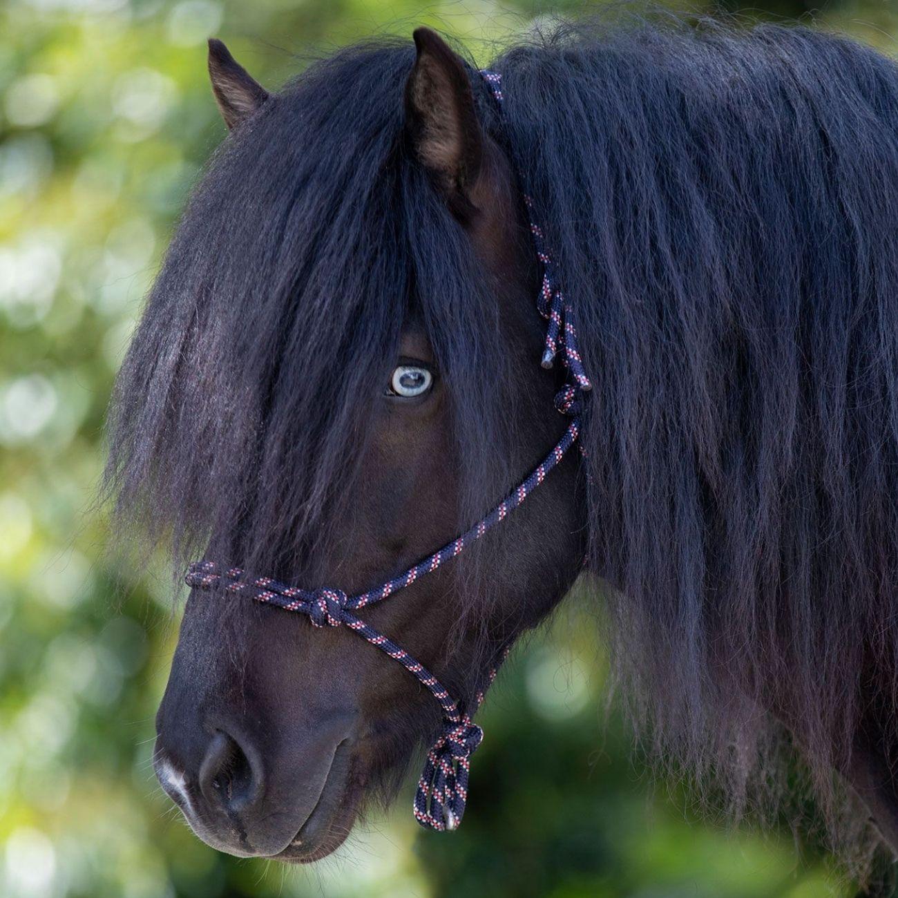 Capezza Annodata Waldhausen Blu/Bianco/Rossa 50411 542BLUE/WHITE/RED WALDHAUSEN 