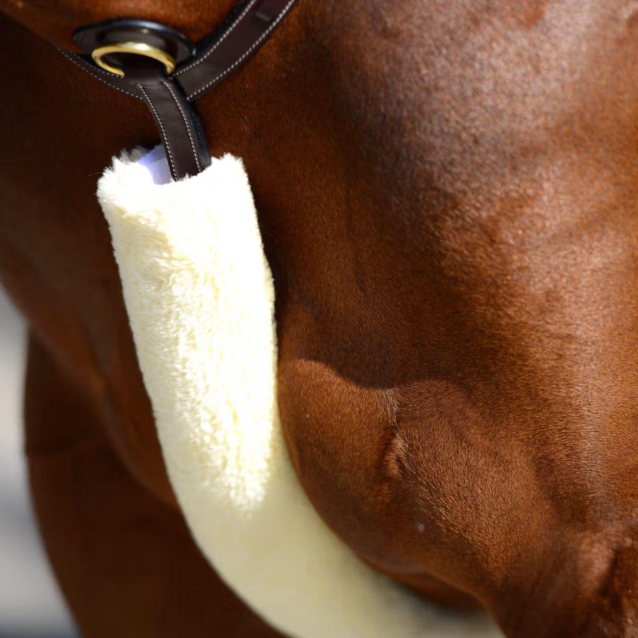 Agnellino Per Pettorale Kentucky Naturale 42601 NATURALE KENTUCKY 