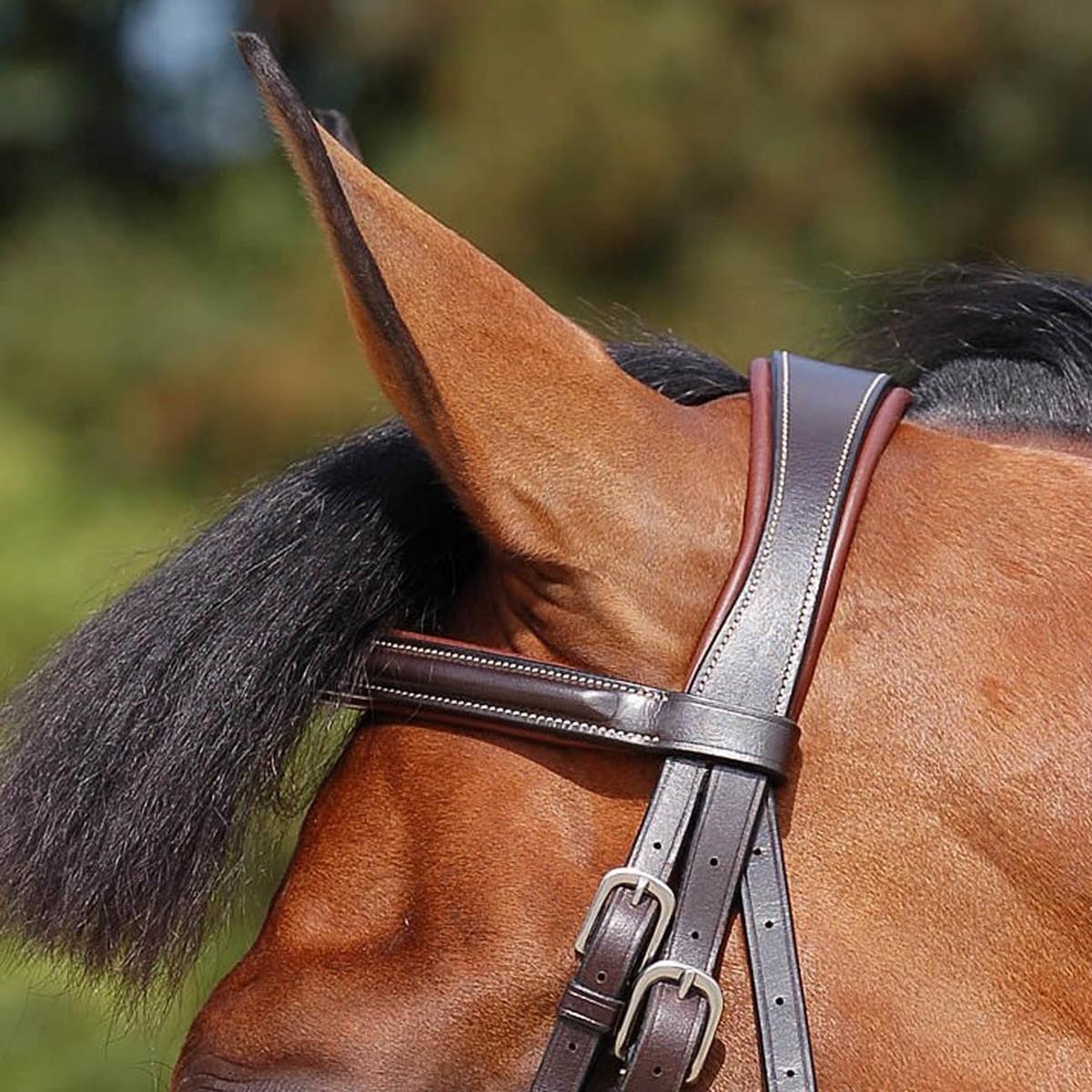 Testiera In Cuoio Con Redini In Gomma Dy'on 09INB164+B262 BROWN DY'ON 