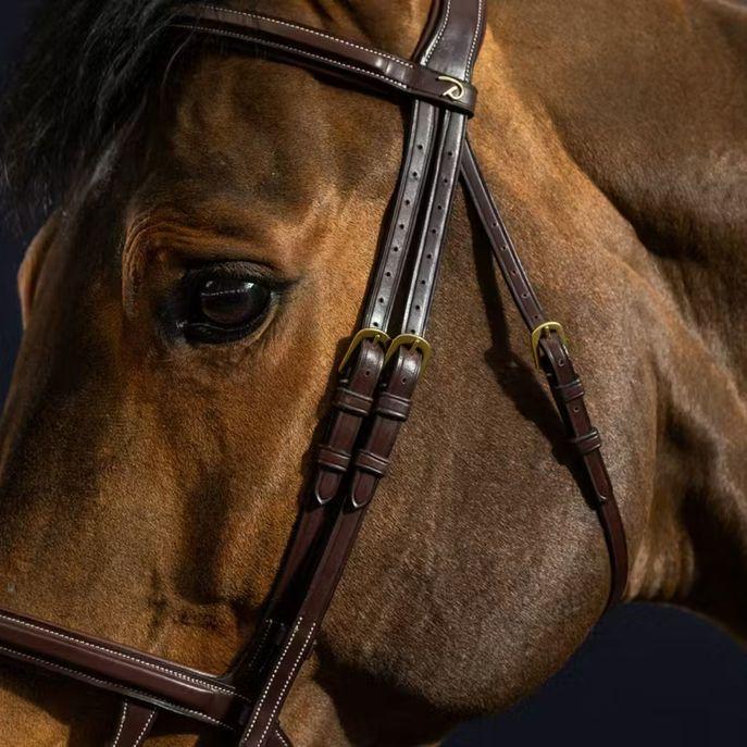 DY'ON DOUBLE NOSEBAND BRIDLE D COLLECTION Marrone TESTIERE DYAAAH BROWN DY'ON 