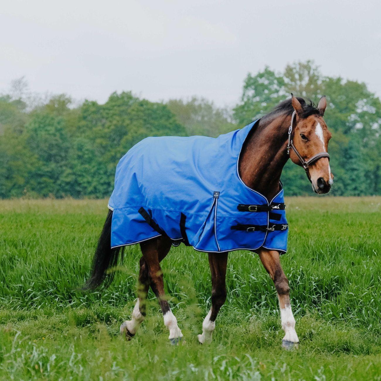 Coperta A Collo AltoTyrex Aisace 1200D Equitheme 400966 ROYAL BLUE EQUITHEME 