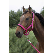 Set Capezza E Lunghina Large Norton Fuxia 510249 RASPBERRY NORTON 