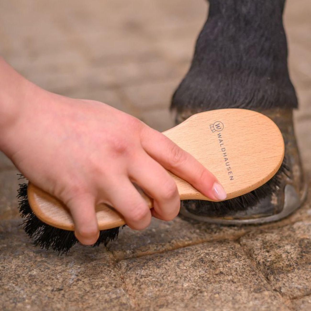 Spazzola Per Zoccoli Exclusive Line Waldhausen 3874819 NEUTRO WALDHAUSEN 