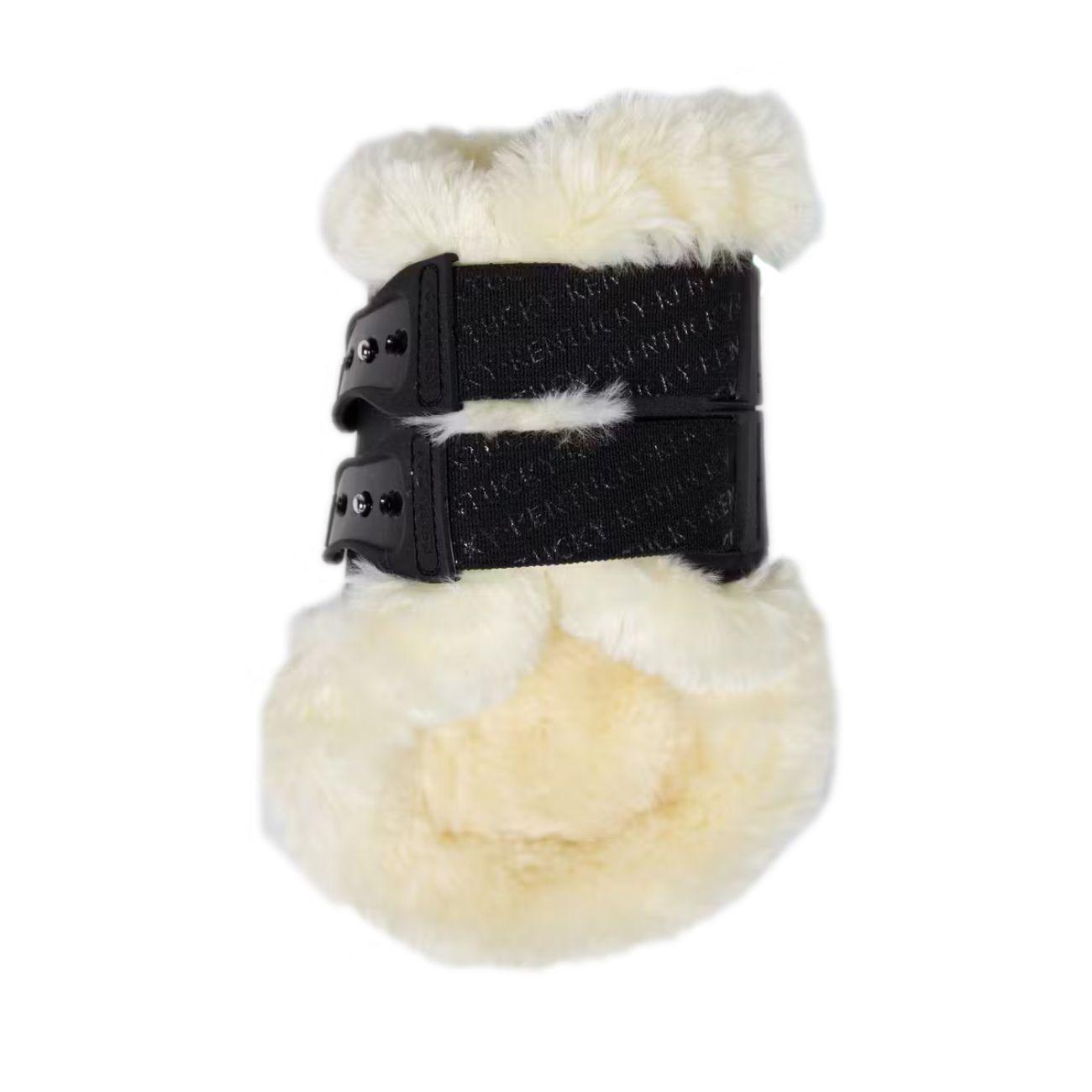  88208 01BLACK KENTUCKY 