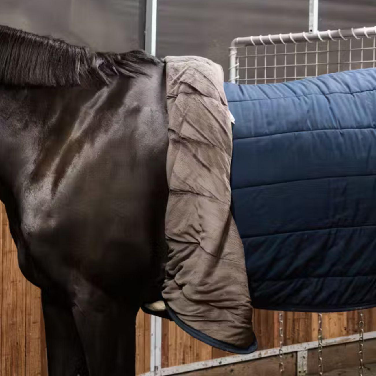  42431 02BLACK KENTUCKY 