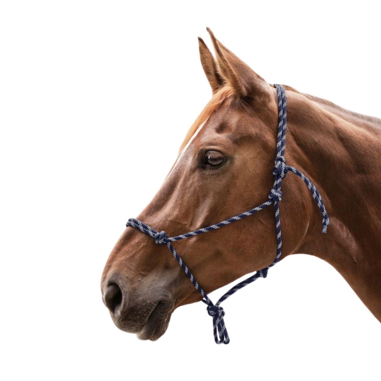 Capezza Annodata Waldhausen Blu/Argento 50411 055NIGHTBLUE/SILVER WALDHAUSEN 