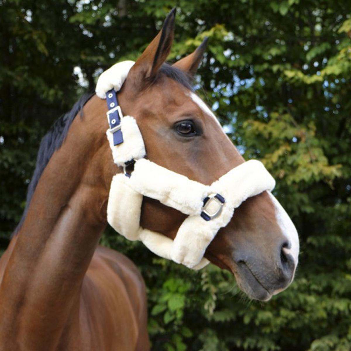 EQUITHEME CAPEZZA Navy - CAPEZZINI E CAPEZZE 51/ NAVY/WHITE EQUITHEME 