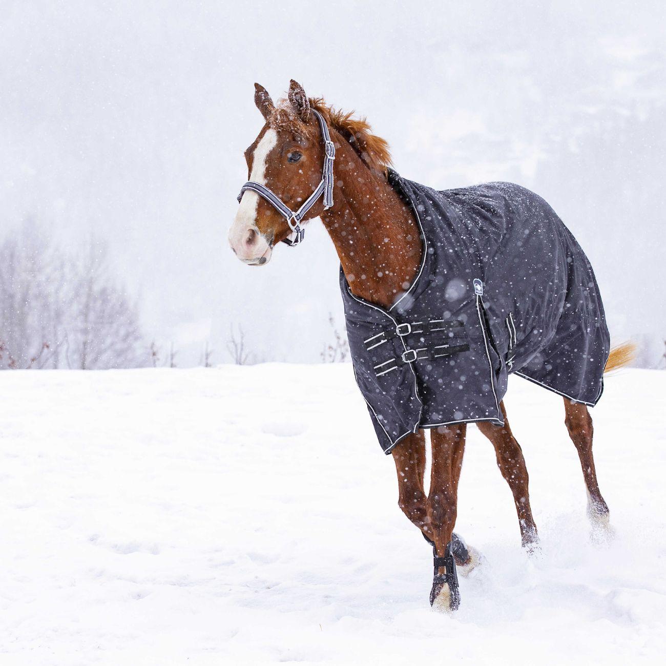 Coperta Waterproof OXford Foderata In Pile Riding World 400894 BLACK RIDING WORLD 