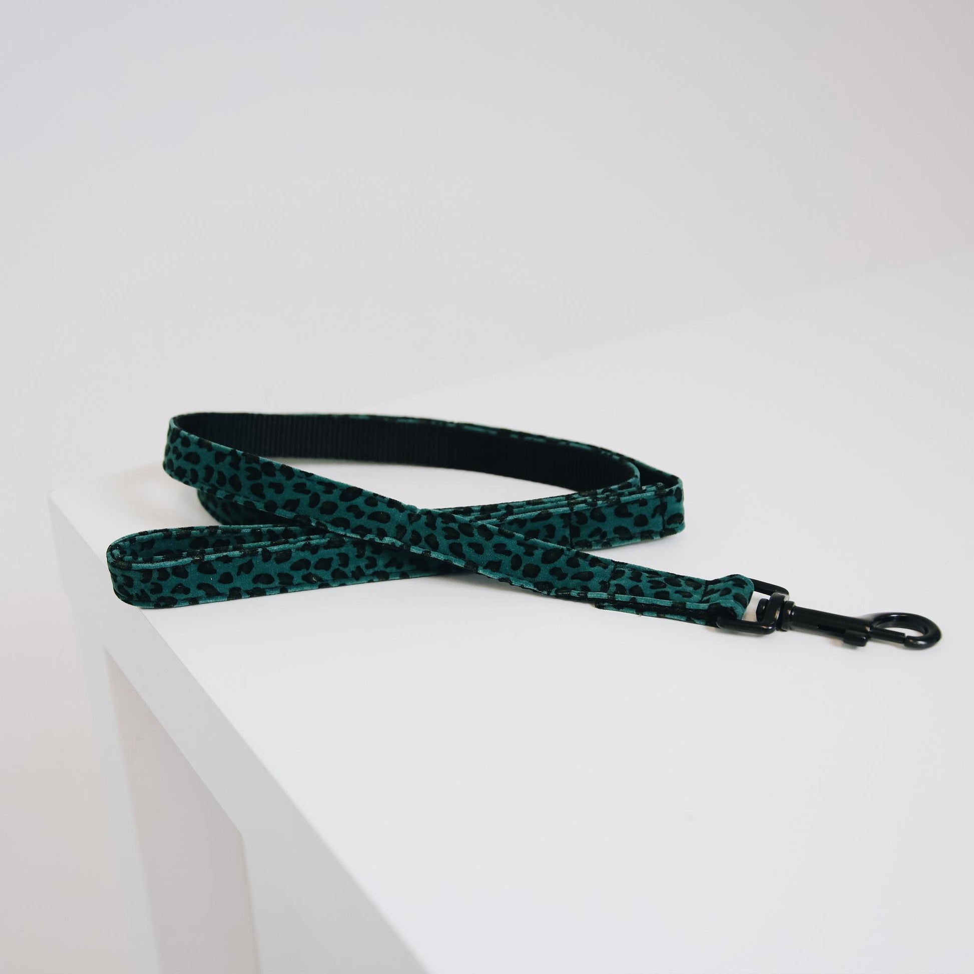 GUINZAGLIO PER CANE COCCODRILLO KENTUCKY 09KT-42631 73 LEO GREEN KENTUCKY