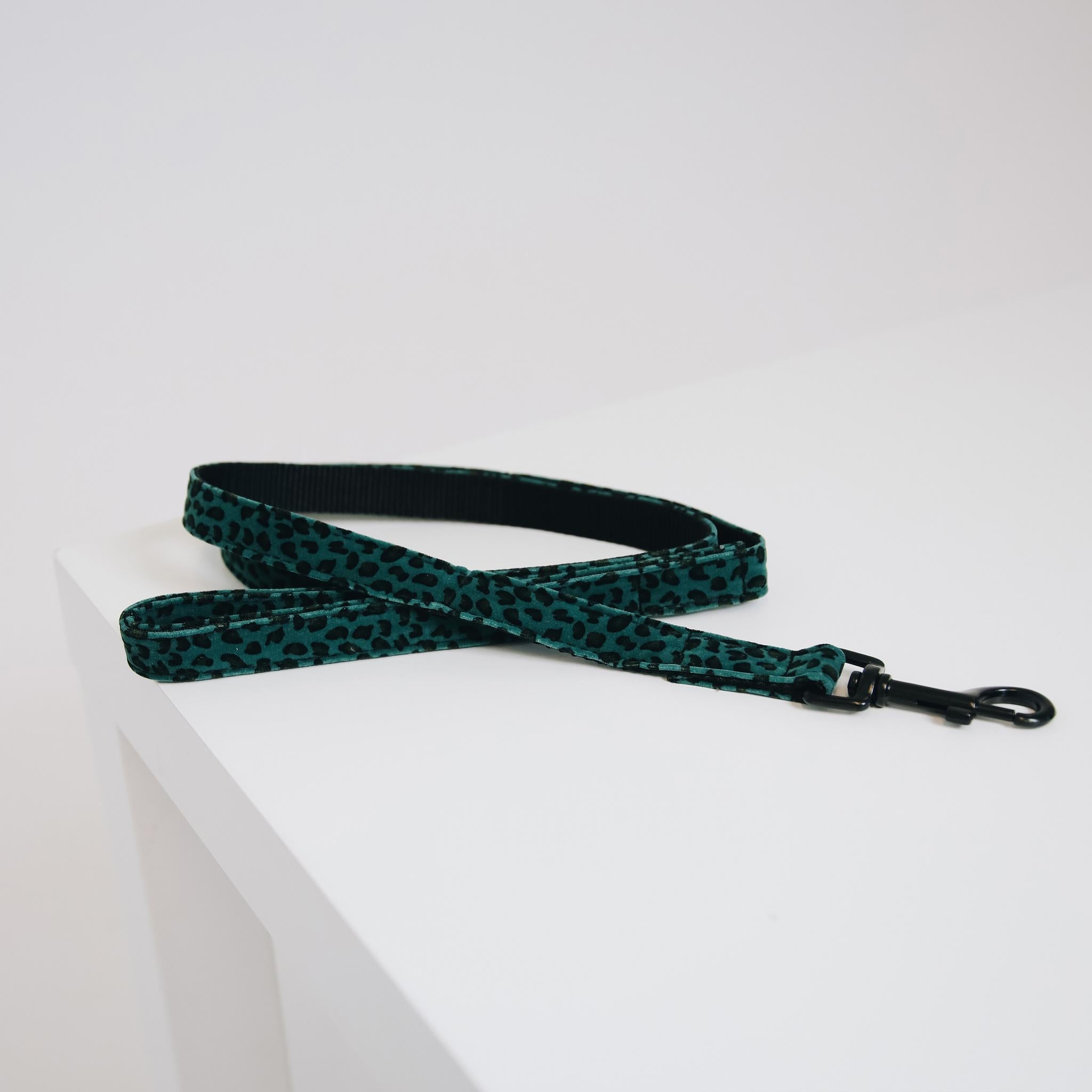 GUINZAGLIO PER CANE COCCODRILLO KENTUCKY 09KT-42631 73 LEO GREEN KENTUCKY