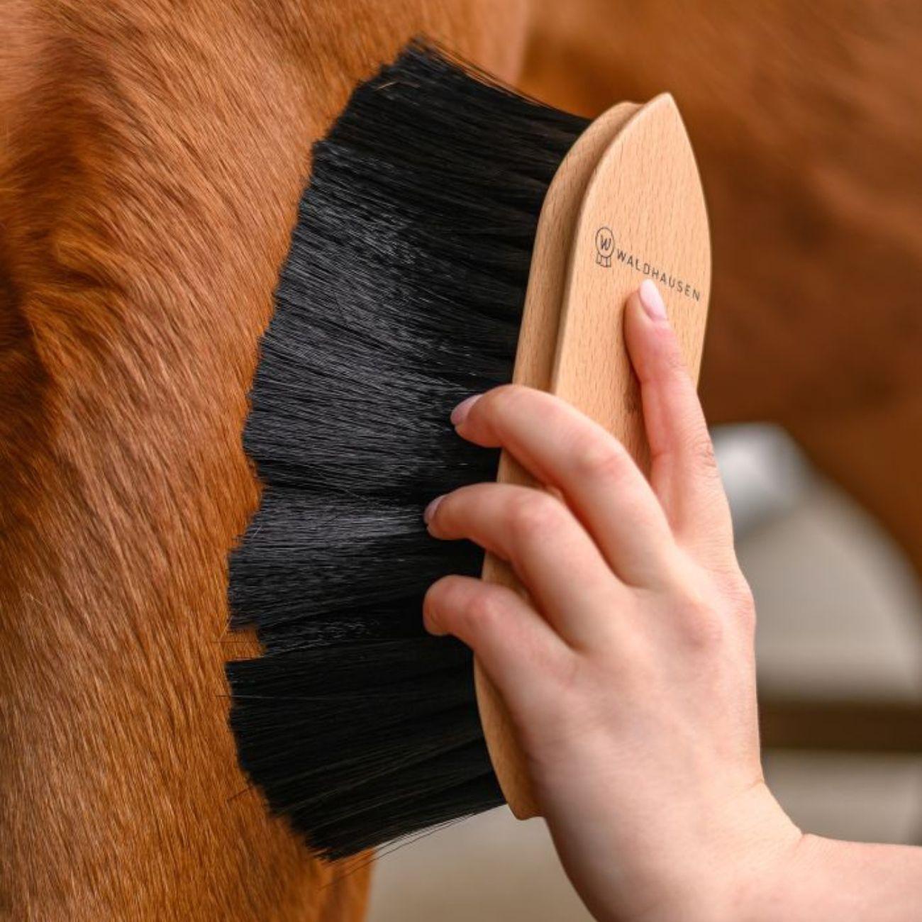 Brusca Dust Brush Exclusive Line 3874620 NEUTRO WALDHAUSEN 