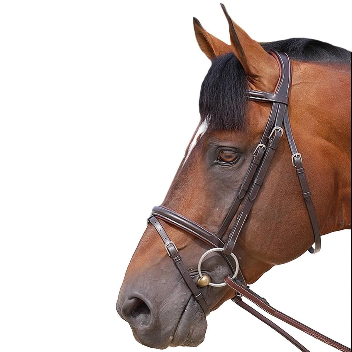 Testiera In Cuoio Con Redini In Gomma Dy'on 09INB164+B262 BROWN DY'ON 