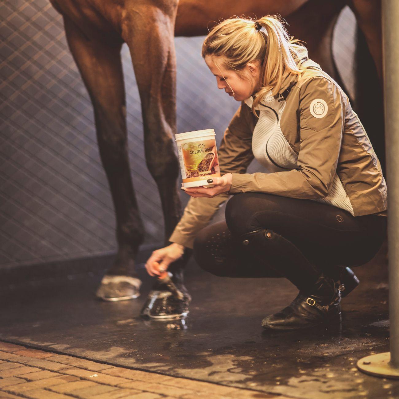 Grasso Per Gli Zoccoli Golden Hoof 1000ml Veredus GOH1 NEUTRO VEREDUS 