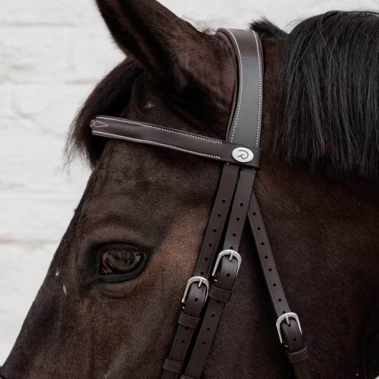 Testiera Cavesson Hunter Wo Dy'on WOADAK BROWN DYON 