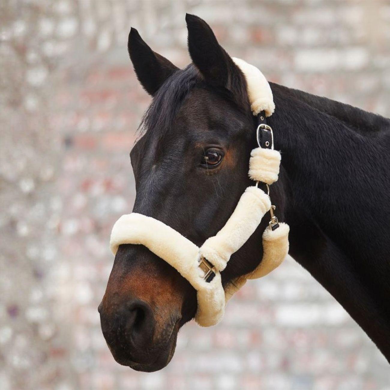 Capezza Cozy Waldhausen 50497 02CREAM WALDHAUSEN 