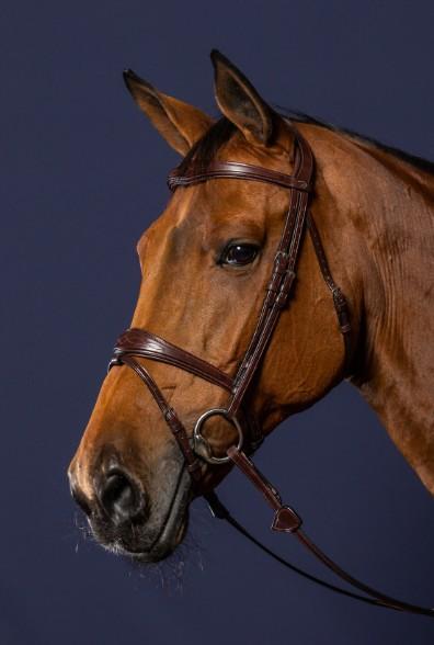 DY'ON ANATOMIC FLASH NOSEBAND BRIDLE NEW ENGLISH COLLECTION Marrone BRIGLIE NEABAB BROWN DY'ON 