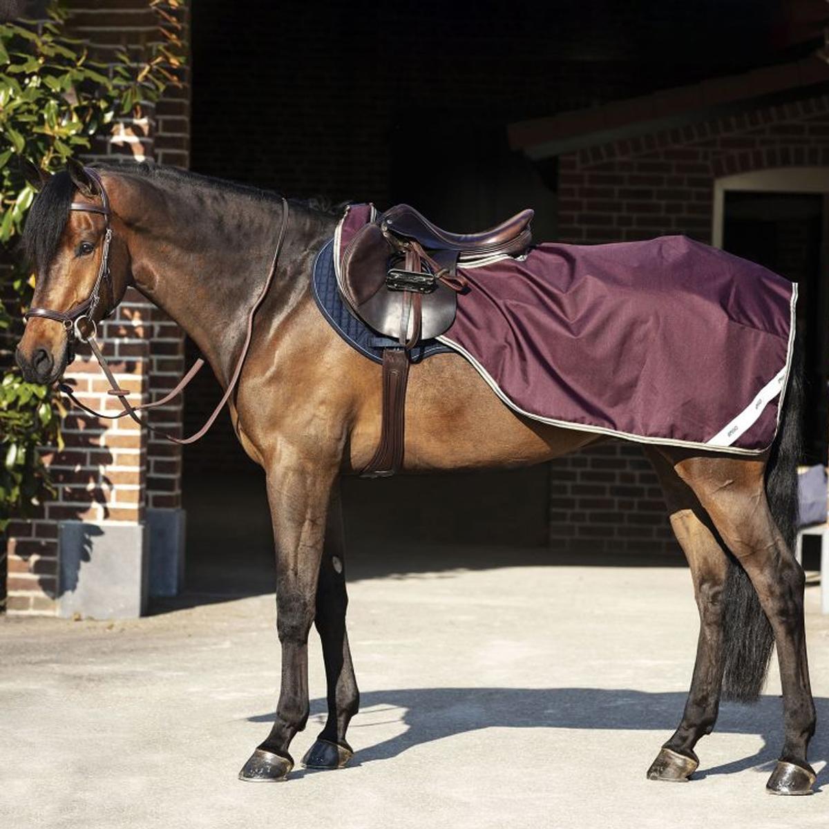 COPRIRENI IMPERMEABILE 31HO-AGPC90 FIG NAVY TEAL HORSEWARE