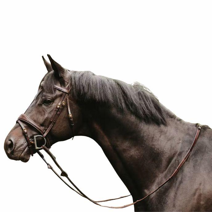 DY'ON 5/8 HUNTER REINS WITH 7 LEATHER LOOPS D COLLECTION Marrone REDINI DY05G BROWN DY'ON 