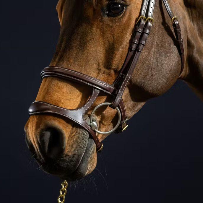 DY'ON DOUBLE NOSEBAND BRIDLE D COLLECTION Marrone TESTIERE DYAAAH BROWN DY'ON 