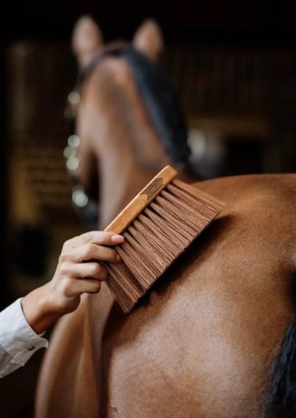 BRUSCA IN LEGNO MEDIO KENTUCKY 82137 05BROWN GROOMING DELUXE