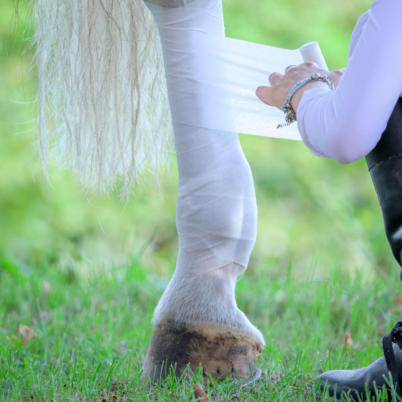 Bendaggio Raffreddante Equestre Elite X Mascheroni Selleria BENRAF NEUTRO EQUESTRE ELITE 