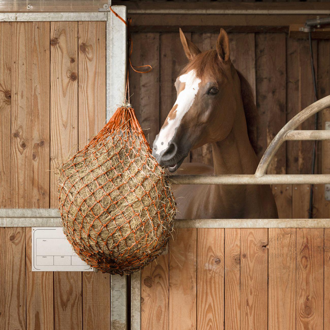 Rete Per Fieno Hippo-Tonic Arancione 306823 022 ORANGE HIPPO-TONIC 