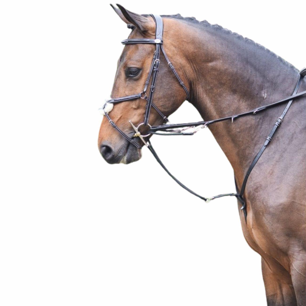 JUMP'IN REDINI TIEDEMAN JUMP'IN BLACK martingale e forchette ENH 09JUENH BLACK JUMP'IN 