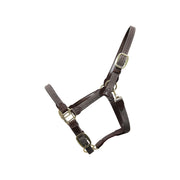 Halter in NYLON KENTUCKY 42516 08GREY KENTUCKY
