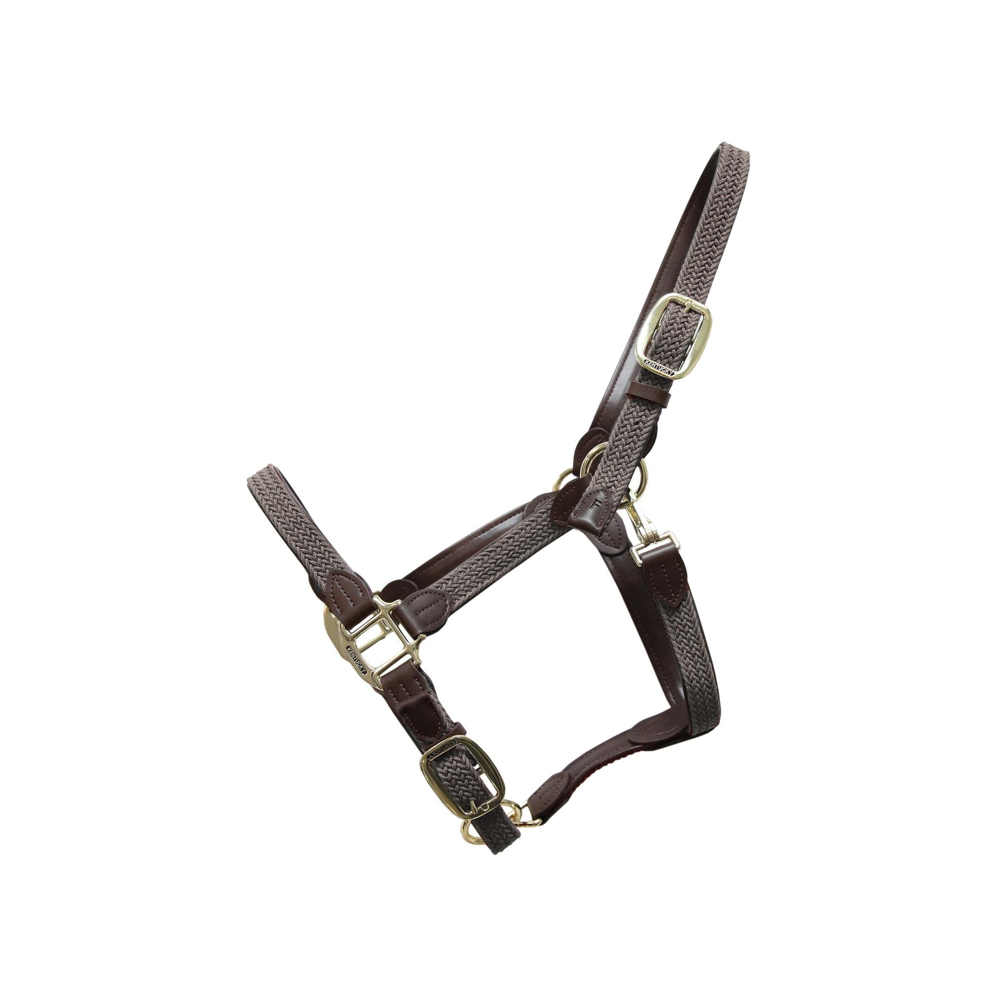 Halter in NYLON KENTUCKY 42516 08GREY KENTUCKY