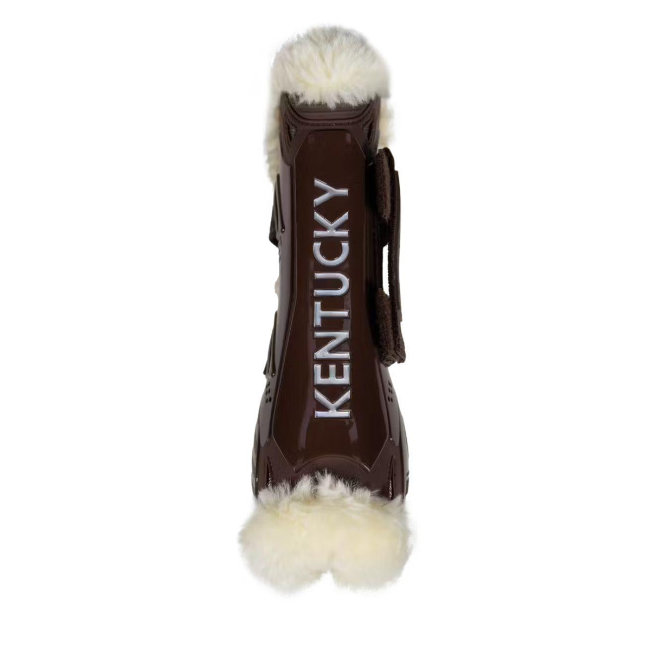  88104 05BROWN KENTUCKY 