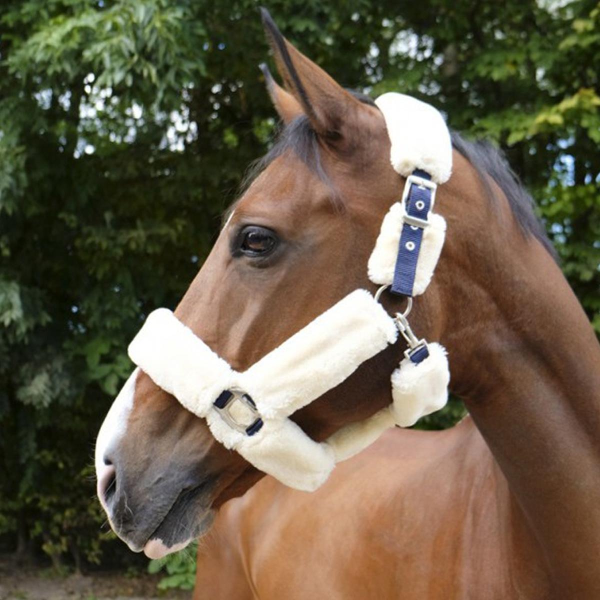 EQUITHEME CAPEZZA Navy - CAPEZZINI E CAPEZZE 51/ NAVY/WHITE EQUITHEME