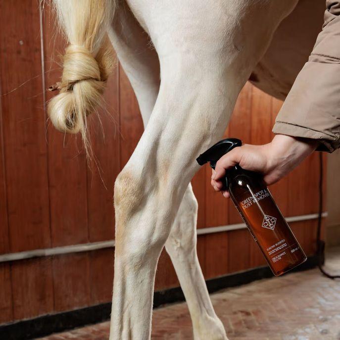 Shampoo A Secco Per Cavalli Grigi Green Spot&Dust Remover 500ml Grooming Deluxe 72112 NEUTRO GROOMING DELUXE 
