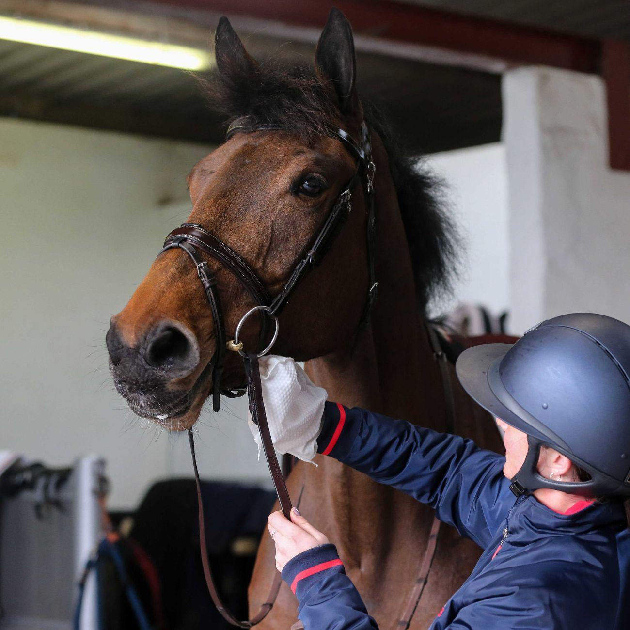 Carr & Day & Martin BELVOIR TACK CLEANER MITT STEP 1 - detergente per cuoio spray (Step 1) 726018 NEUTRO CARR AND DAY AND MARTIN 