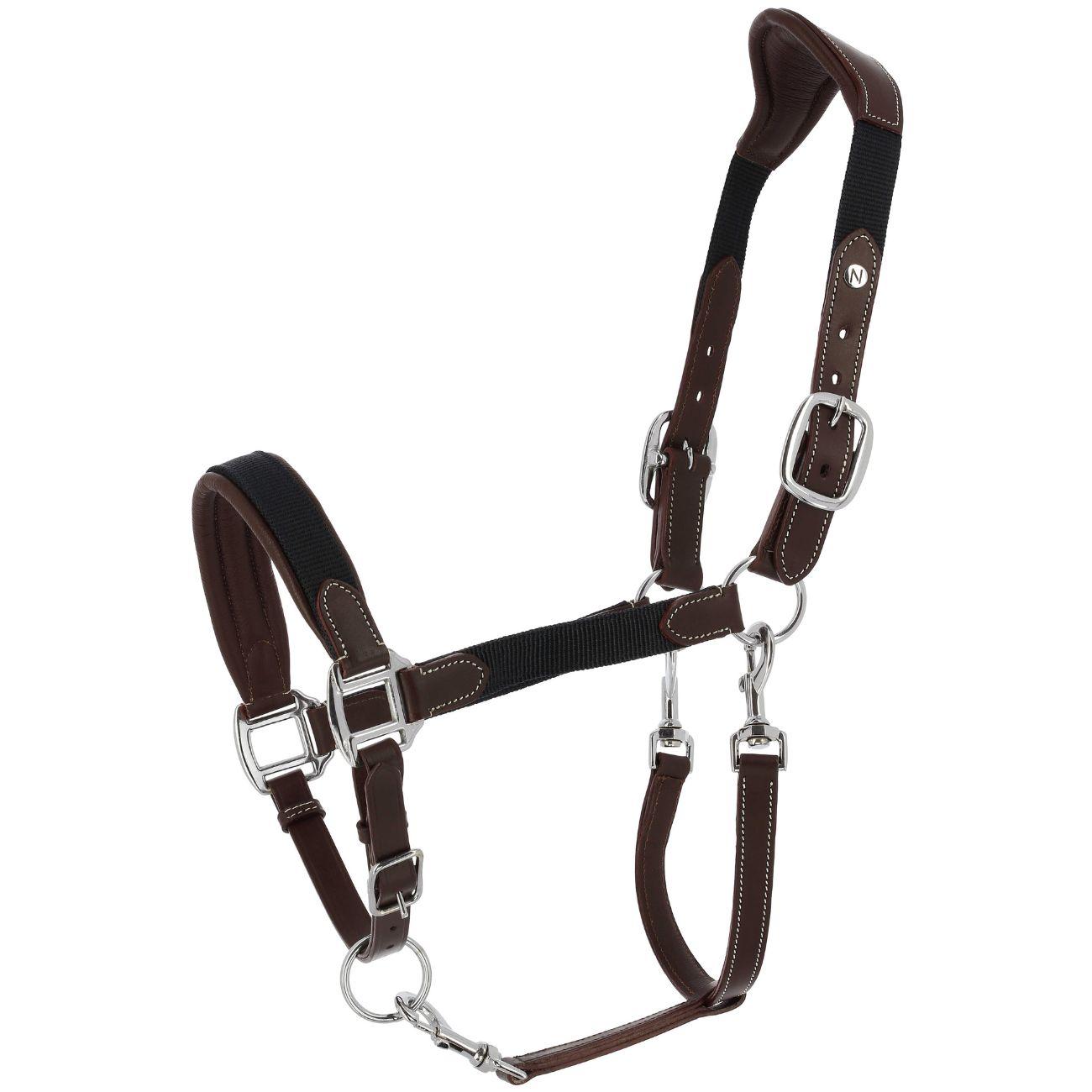 Capezza Dualy Norton Marrone/Blu 510328 HAVANA/MARINE NORTON 