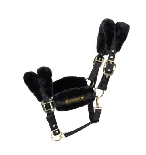  42565 01BLACK KENTUCKY 